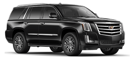 Trusted car rentals