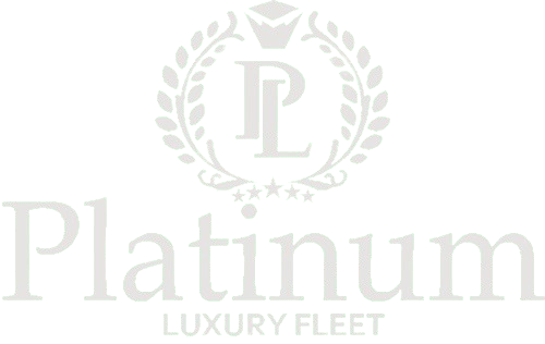 platinum_logo